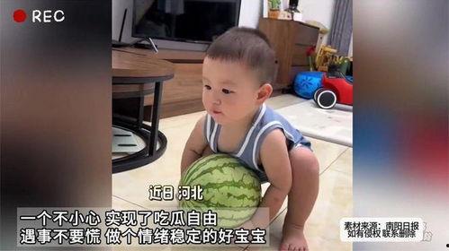 娱乐吃瓜酱情绪稳定,情绪稳定，带你领略娱乐圈风云变幻