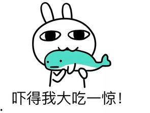 娱乐吃瓜酱情绪稳定,情绪稳定，带你领略娱乐圈风云变幻