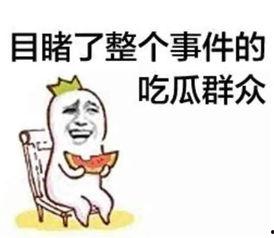 娱乐吃瓜君吐槽二豆,二豆事件真相揭秘
