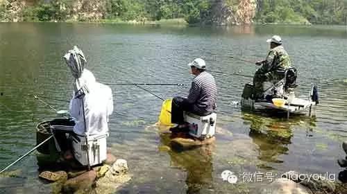 娱乐吃瓜君钓鱼,揭秘娱乐圈背后的秘密与八卦