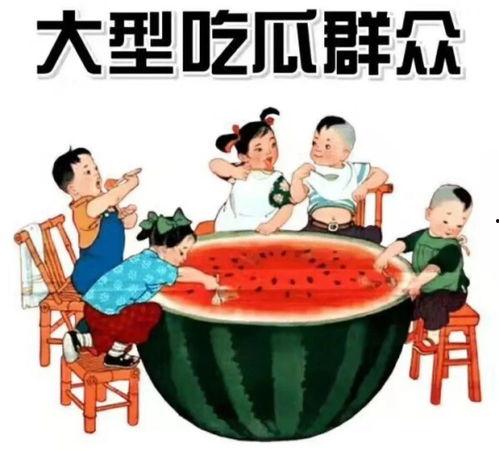 娱乐吃瓜君钓鱼,揭秘娱乐圈背后的秘密与八卦