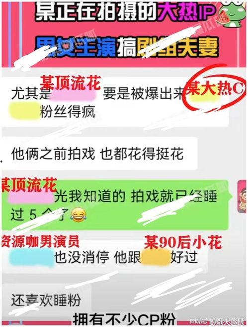 娱乐吃瓜大ip资源,吃瓜大事件背后的秘密与真相