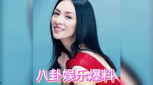 娱乐明星吃瓜直播视频下载,揭秘热门视频下载背后的故事