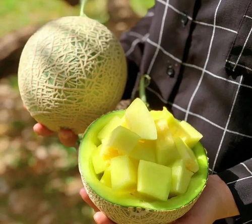 舒兰娱乐圈吃瓜,揭秘明星们的幕后故事