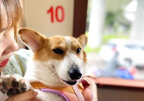 吃瓜娱乐 爆料网站大全