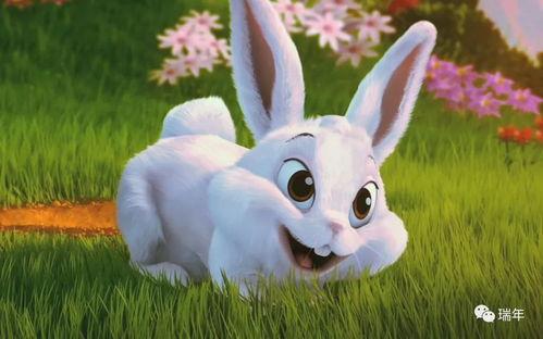 娱乐吃瓜小兔子视频大全