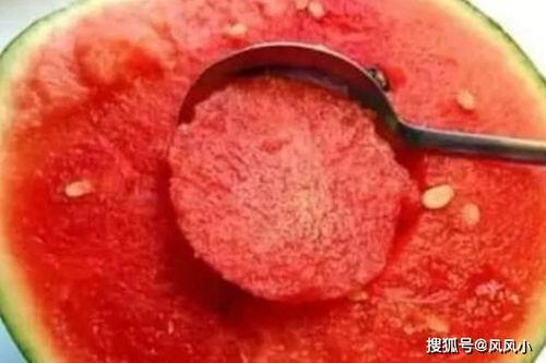 吃瓜娱乐社寄生虫,深度解析寄生虫背后的社会现象与人性探讨