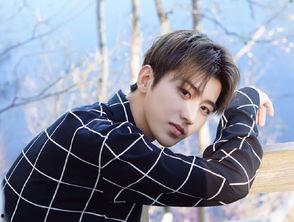 娱乐吃瓜君贺峻霖,娱乐吃瓜界的风云人物