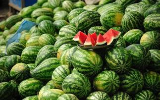 娱乐718网红吃瓜地址,独家幕后花絮大公开！