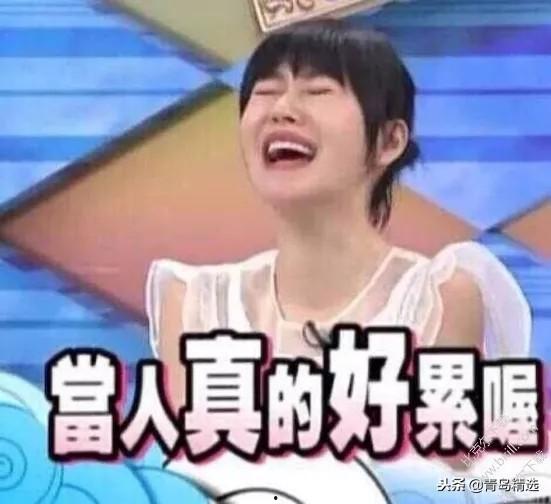 娱乐圈吃瓜必听的歌