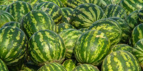 娱乐吃瓜酱新疆,探寻娱乐吃瓜酱的独特风味